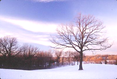 Minnesota_Winter